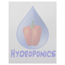 Hydroponics graphic, hydroponic pepper & drop letterhead