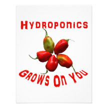 Hydroponics Grows On You habanero star Announcements