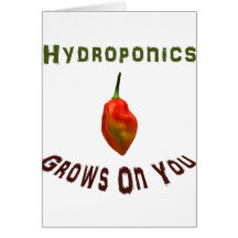 Hydroponics grows on you, single habanero pepper greeting cards