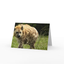 Hyena Greeting Card