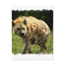 Hyena Postcard