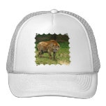 Hyena Prowl Baseball Hat