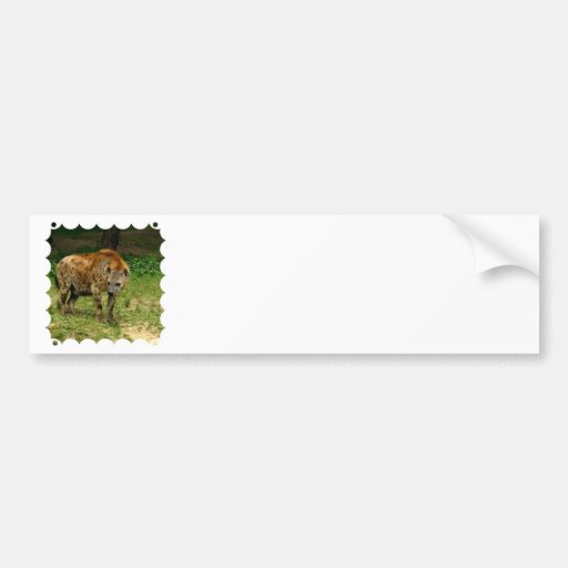 Hyena Prowl Bumper Stickers