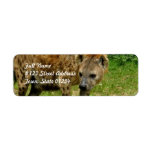 Hyena Prowl Return Address Label