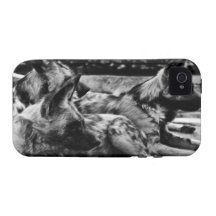 Hyenas iPhone 4 Covers