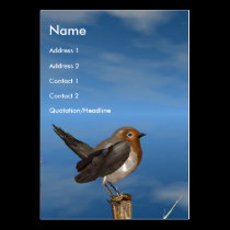 HYPER BIRDS / ROBIN RED BREAST business cards