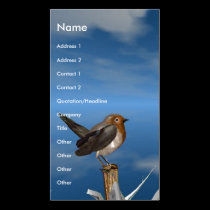 HYPER BIRDS / ROBIN RED BREAST business cards