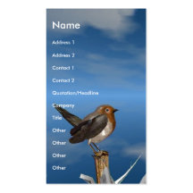 HYPER BIRDS / ROBIN RED BREAST BUSINESS CARDS