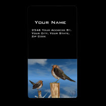 HYPER BIRDS / ROBIN RED BREAST labels