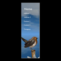 HYPER BIRDS / ROBIN RED BREAST MONOGRAM business cards