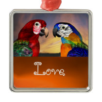 HYPER PARROTS / BLUE AND RED ARA  Agate Love