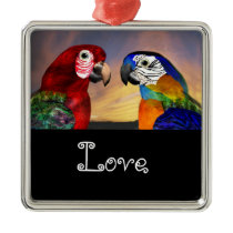 HYPER PARROTS / BLUE AND RED ARA Love