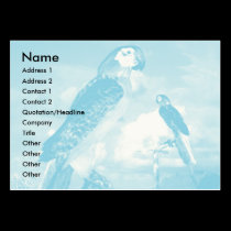 HYPER PARROTS / BLUE ARA business cards