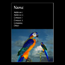 HYPER PARROTS / BLUE ARA business cards