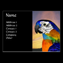 HYPER PARROTS / BLUE ARA business cards