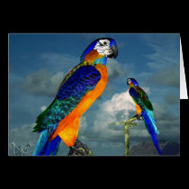 HYPER PARROTS / BLUE ARA cards