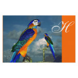 HYPER PARROTS / BLUE ARA  MONOGRAM, orange stationery