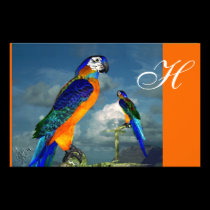 HYPER PARROTS / BLUE ARA  MONOGRAM, orange stationery