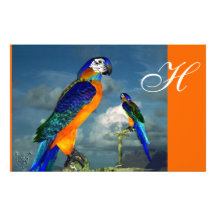 HYPER PARROTS / BLUE ARA  MONOGRAM, orange Stationery Design