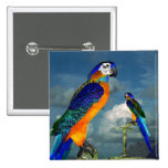 HYPER PARROTS / BLUE ARA PIN