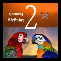 HYPER PARROTS / First Birthday Party, Orange invitations