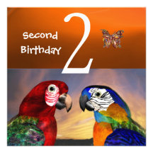 HYPER PARROTS / First Birthday Party, Orange Custom Invitations