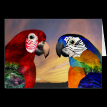 HYPER PARROTS cards