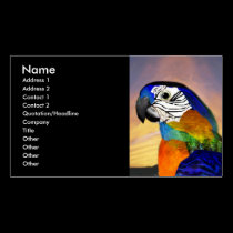 HYPER PARROTS / RED AND BLUE ARA ,black business cards