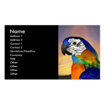 HYPER PARROTS / RED AND BLUE ARA ,black Business Card