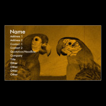 HYPER PARROTS / RED AND BLUE ARA business cards