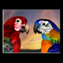 HYPER PARROTS / RED AND BLUE ARA postcards