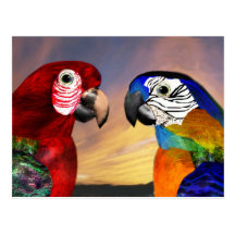 HYPER PARROTS / RED AND BLUE ARA POST CARD