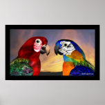 HYPER PARROTS / RED AND BLUE ARA POSTERS