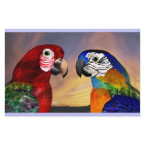 HYPER PARROTS / RED AND BLUE ARA