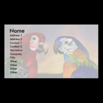 HYPER PARROTS / RED AND BLUE ARA ,white business cards