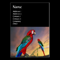 HYPER PARROTS / RED ARA ,black business cards