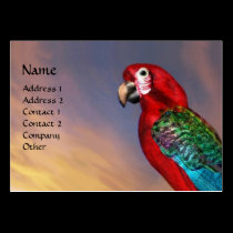 HYPER PARROTS / RED ARA business cards