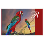 HYPER PARROTS / RED ARA  MONOGRAM stationery