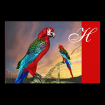 HYPER PARROTS / RED ARA  MONOGRAM stationery