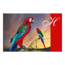 HYPER PARROTS / RED ARA  MONOGRAM STATIONERY