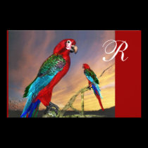 HYPER PARROTS / RED ARA  MONOGRAM stationery