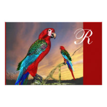 HYPER PARROTS / RED ARA  MONOGRAM STATIONERY PAPER