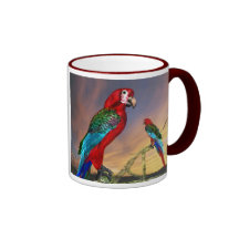 HYPER PARROTS / RED ARA MUG