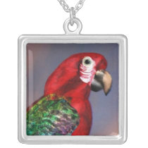 HYPER PARROTS /  RED ARA