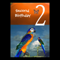 HYPER PARROTS / Second Birthday Party Orange Blue invitations