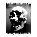 Hysteriskull riant le crâne humain cartes postales