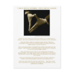 I Am A Social Worker, These Are My Hands ! Post Cards