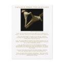 I Am A Social Worker, These Are My Hands ! postcards