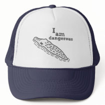 I am dangerous trucker hats