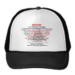 I am domestic terrorist A.png Mesh Hat